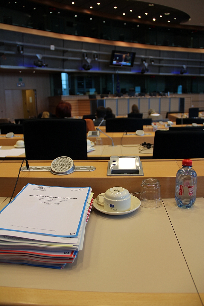 Bryssel 28 november - 1 december 2012 (110)